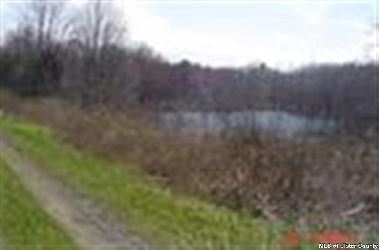 450 New Unionville Road Wallkill, NY 12589 - Photo 5 of 9 Photo 5