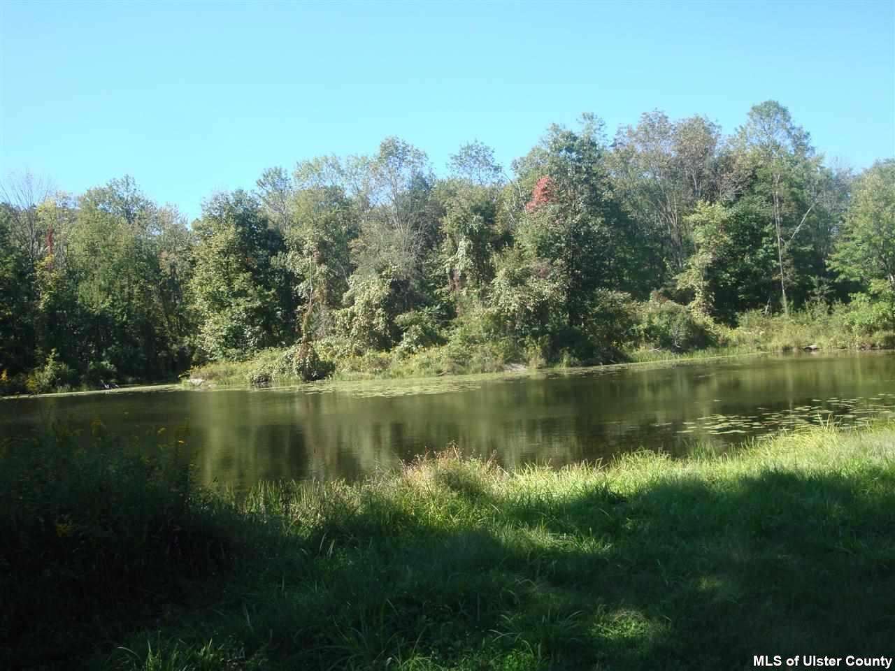 450 New Unionville Road Wallkill, NY 12589 - Photo 6 of 9 Photo 6