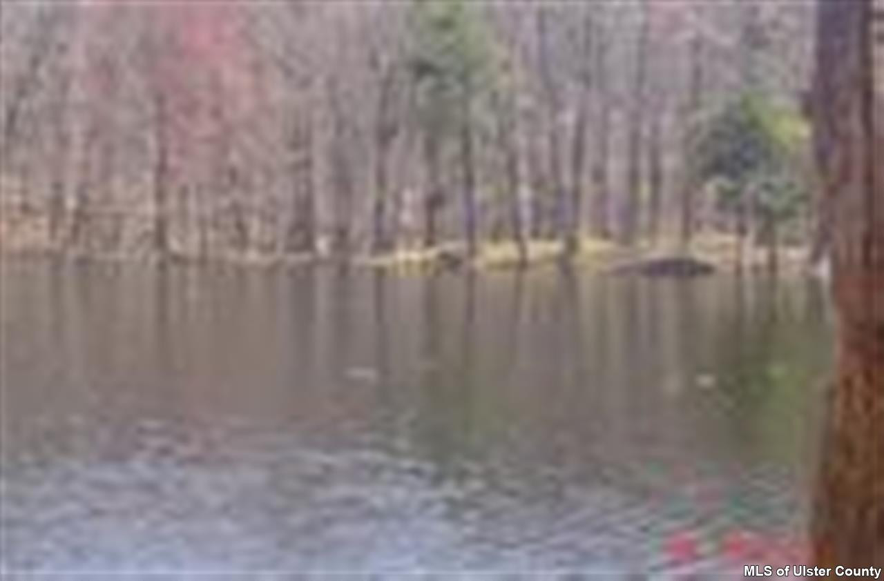 450 New Unionville Road Wallkill, NY 12589 - Photo 8 of 9 Photo 8