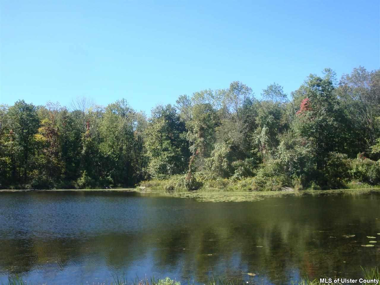 450 New Unionville Road Wallkill, NY 12589 - Photo 9 of 9 Photo 9