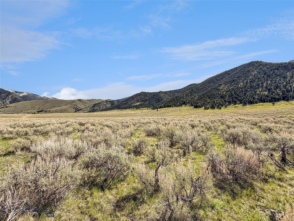 2-4a Continental Divide Road Cameron, MT 59720 - Photo 23 of 37 Gallery Image 23