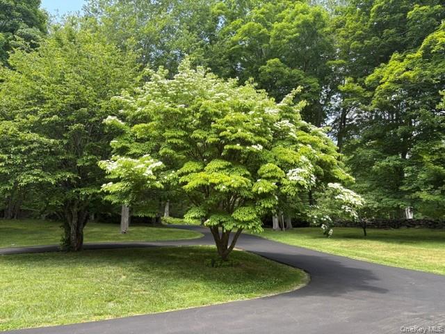 240 Eastwoods Road Pound Ridge, NY 10576 - Photo 41 of 46 a view of a garden