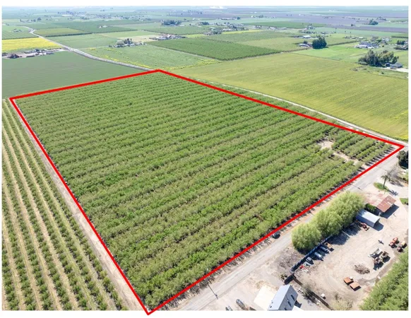 $2,985,000 | 1613 Fig Avenue, Patterson, CA 95363