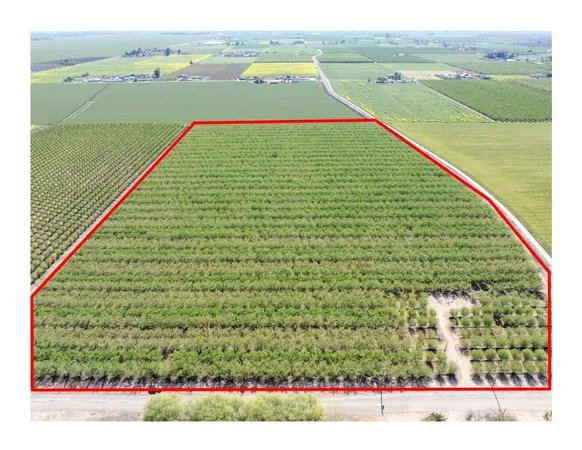 $2,985,000 | 1613 Fig Avenue, Patterson, CA 95363