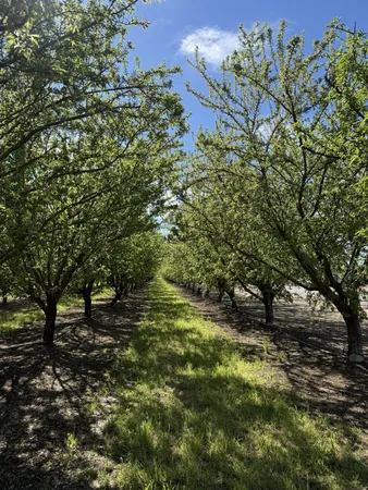 $2,985,000 | 1613 Fig Avenue, Patterson, CA 95363