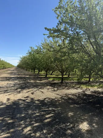 $2,985,000 | 1613 Fig Avenue, Patterson, CA 95363
