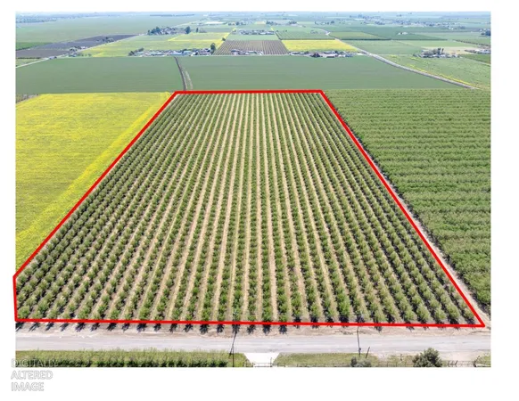 $2,985,000 | 1613 Fig Avenue, Patterson, CA 95363