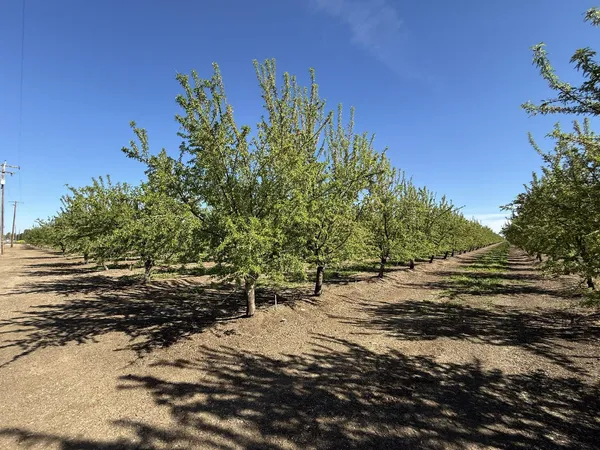 $2,985,000 | 1613 Fig Avenue, Patterson, CA 95363