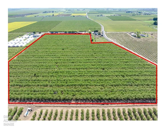 $2,985,000 | 1613 Fig Avenue, Patterson, CA 95363