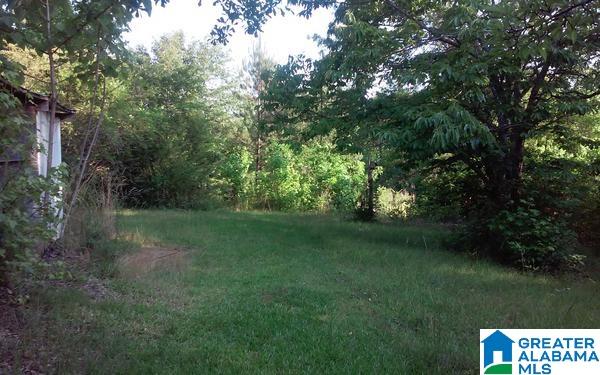 82 County Road, Unit 18 Wedowee, AL 36278 - Photo 8 of 12