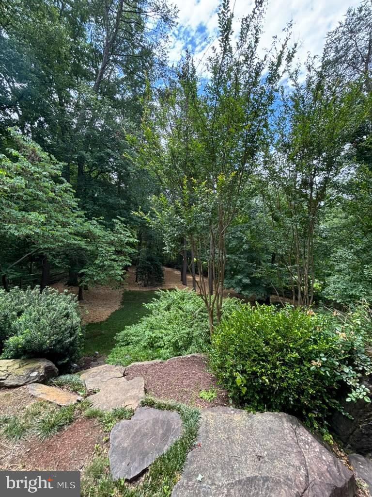 10711 Oldfield Drive Reston, VA 20191 - Photo 2 of 6 Backyard