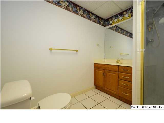 7462 Morris Lane McCalla, AL 35111 - Photo 29 of 32