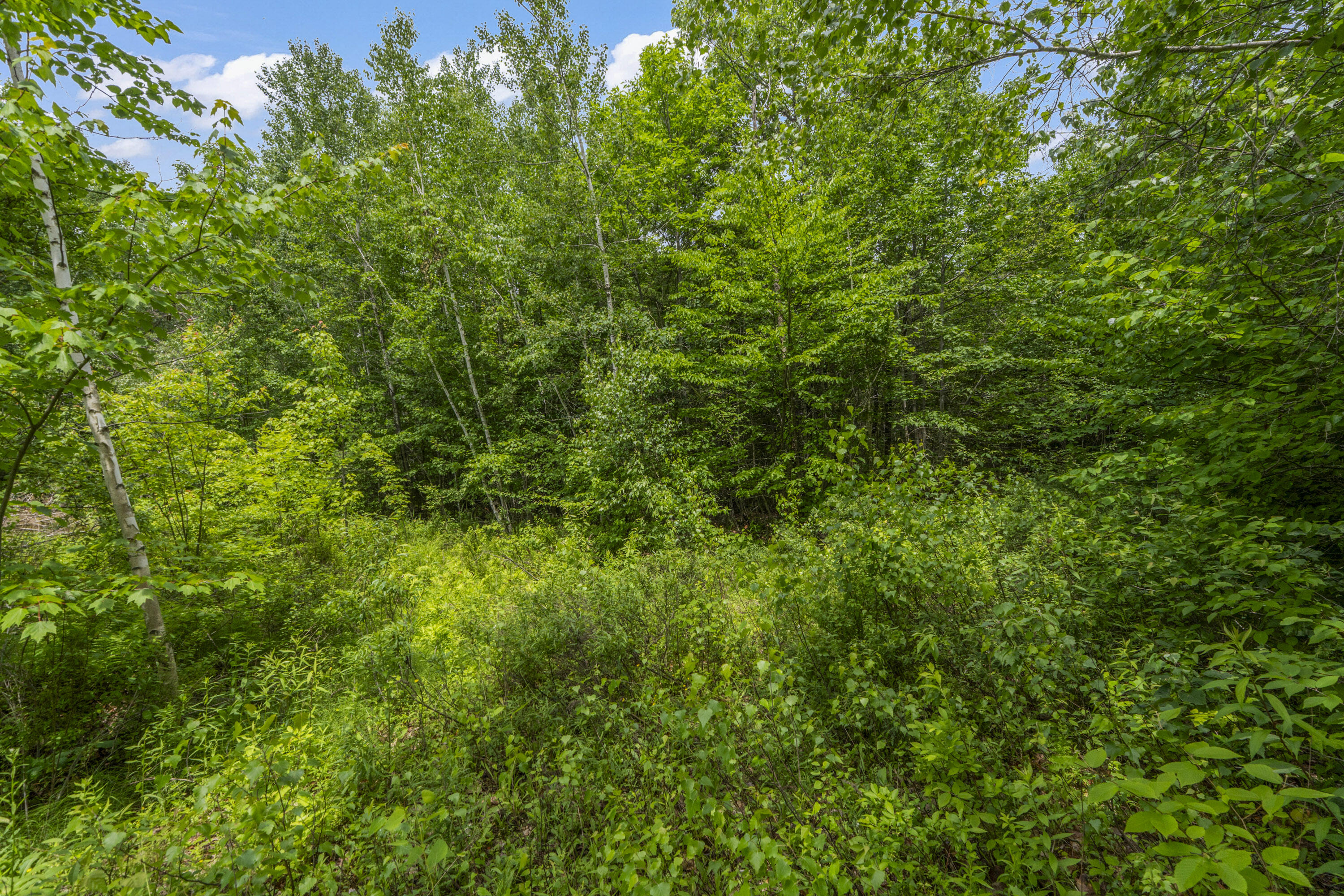 Lot17-30-1 Howland Hill Road Belgrade, ME 04917 - Photo 30 of 31