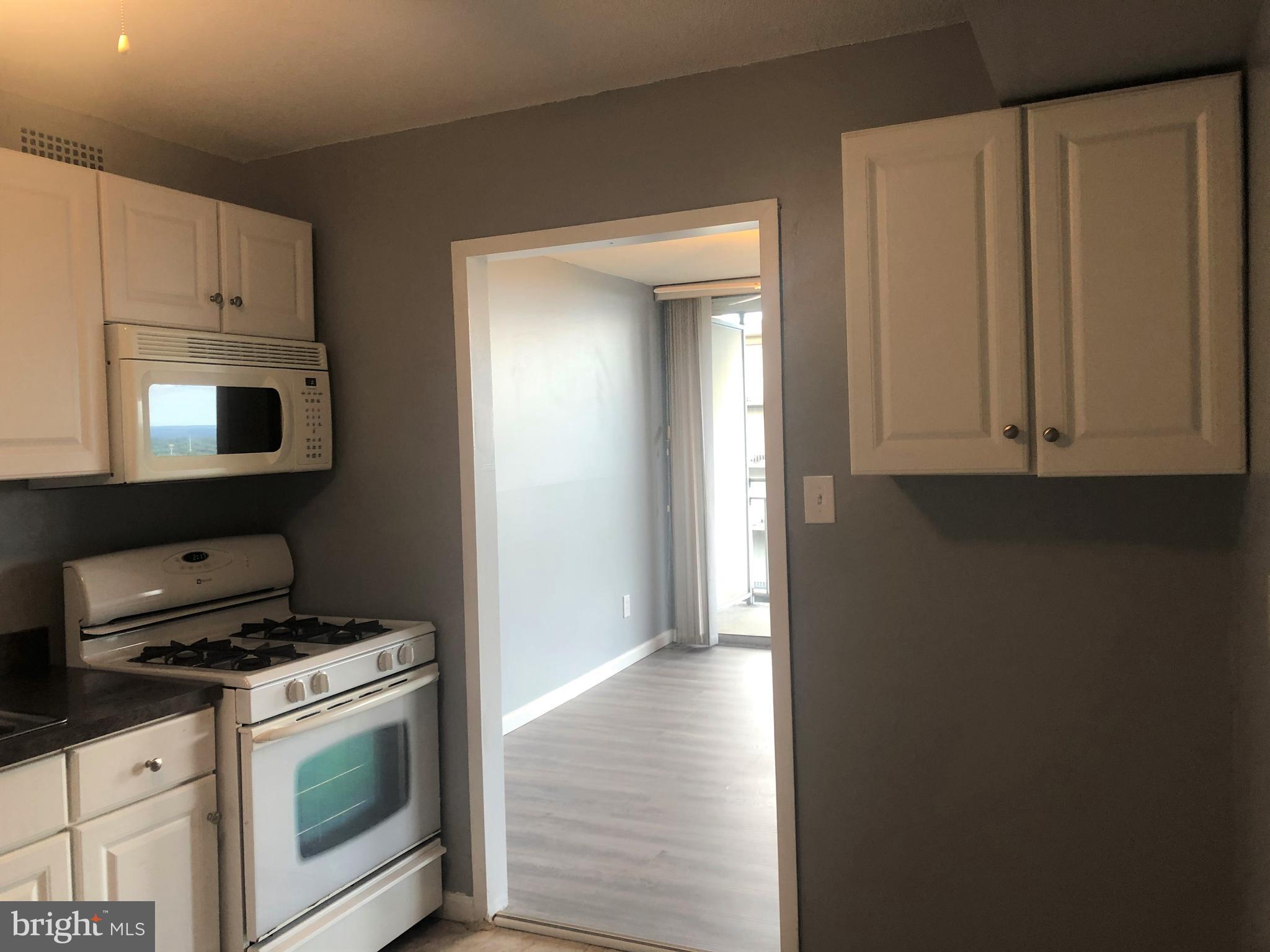 1836 Metzerott Road, Unit 1906 Adelphi, MD 20783 - Photo 11 of 68 Kitchen to Dining Room