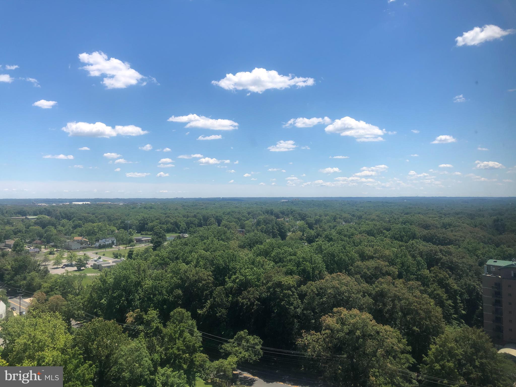1836 Metzerott Road, Unit 1906 Adelphi, MD 20783 - Photo 17 of 68 Your View