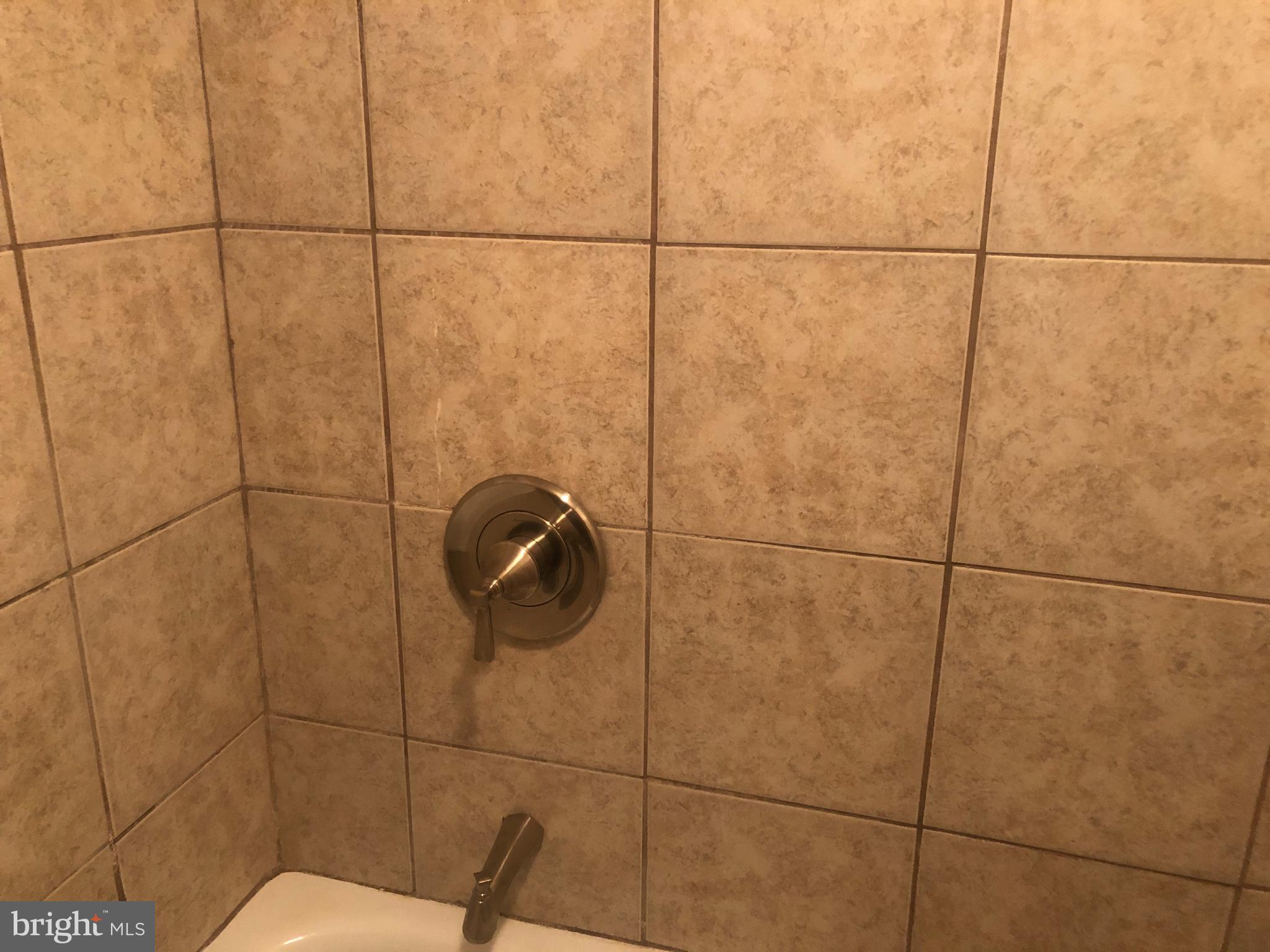 1836 Metzerott Road, Unit 1906 Adelphi, MD 20783 - Photo 45 of 68 Shower 1