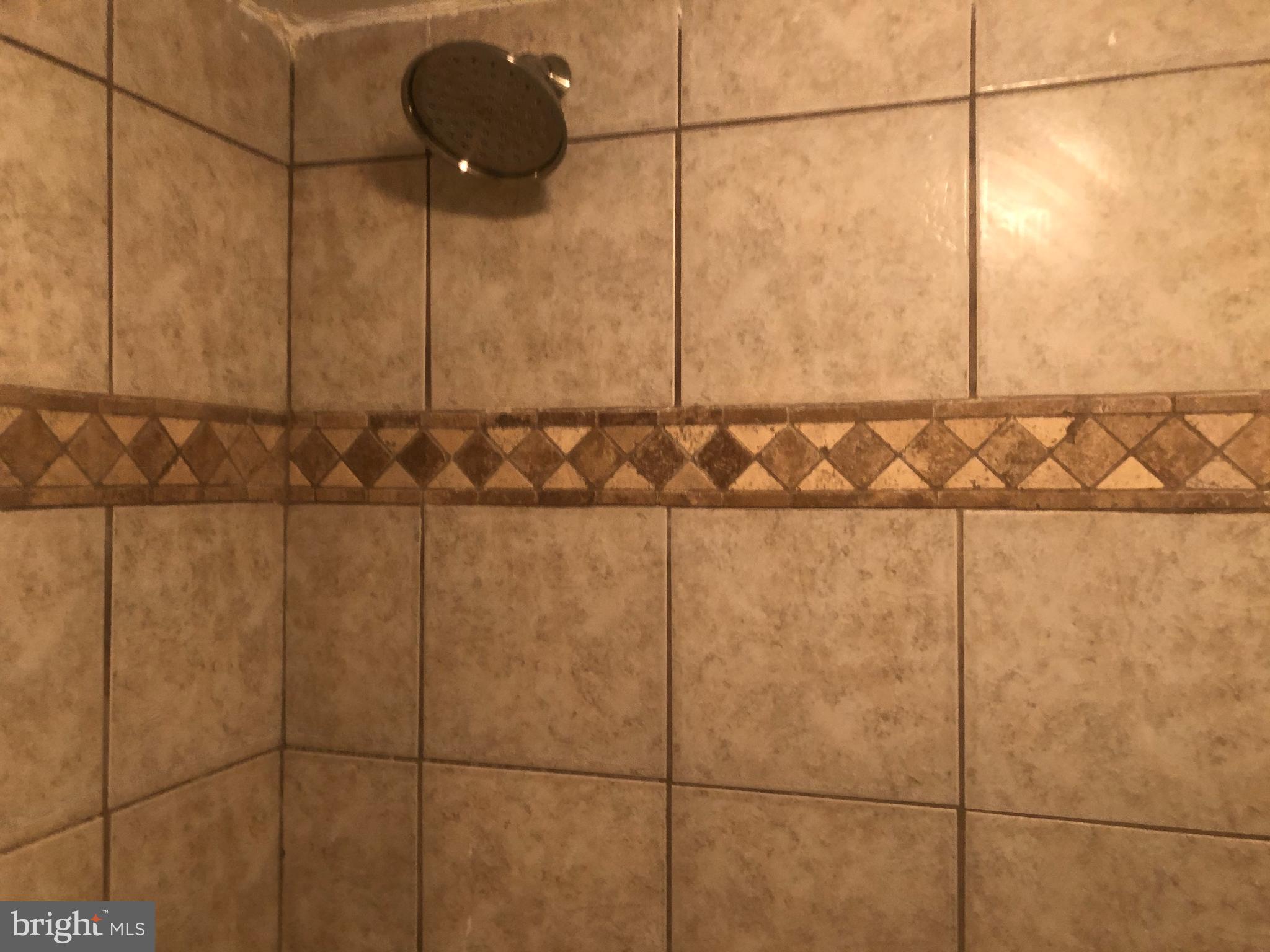 1836 Metzerott Road, Unit 1906 Adelphi, MD 20783 - Photo 46 of 68 Shower 2