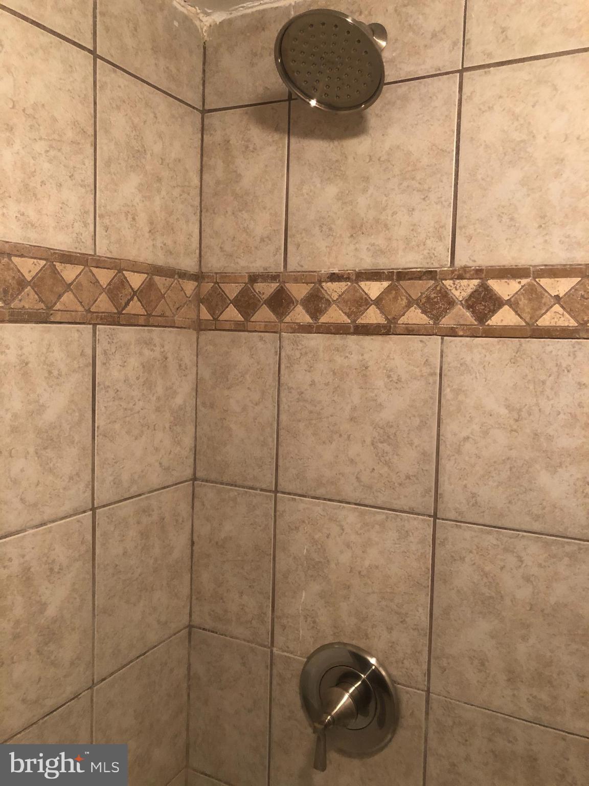 1836 Metzerott Road, Unit 1906 Adelphi, MD 20783 - Photo 47 of 68 Shower 3