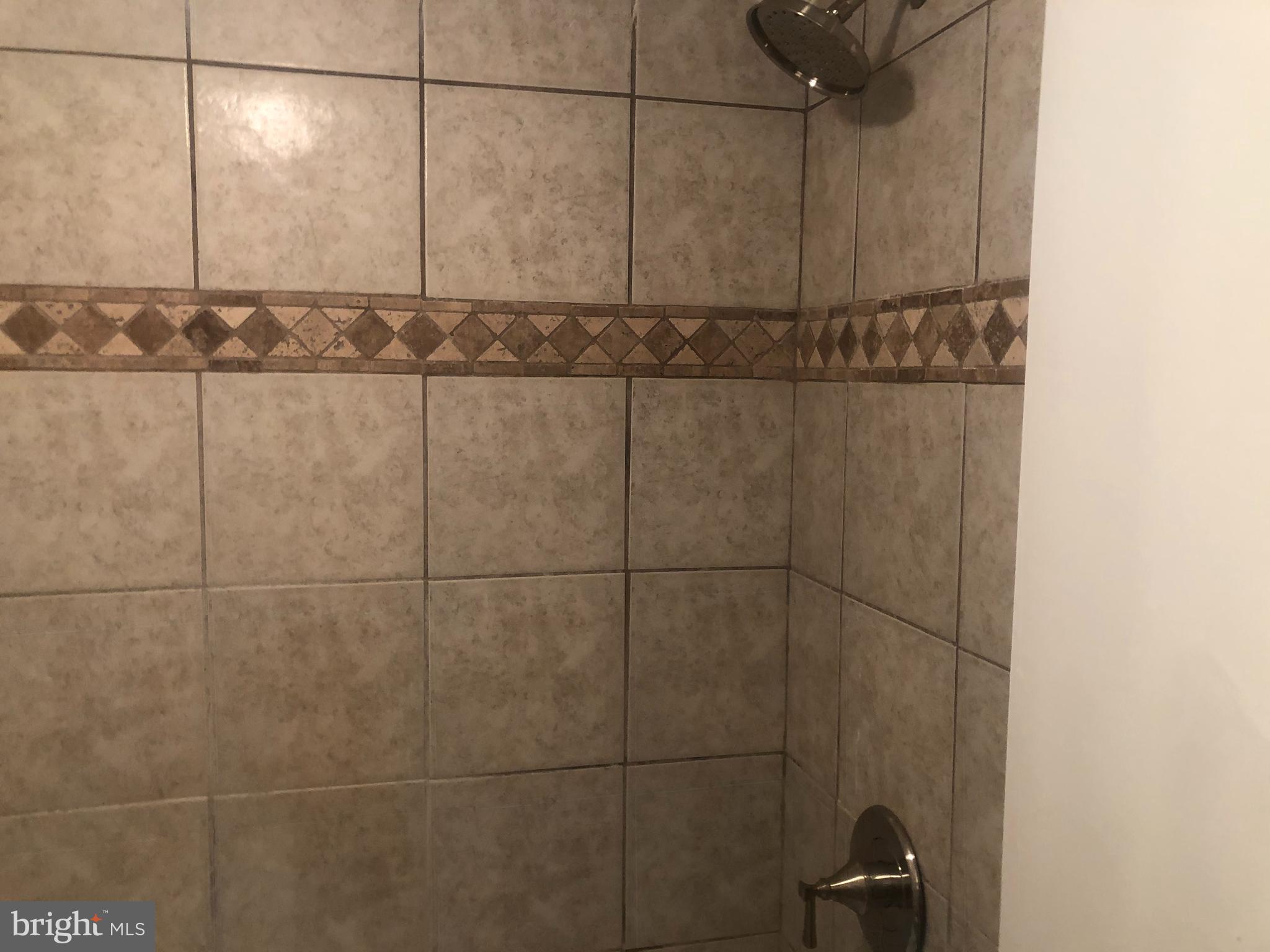 1836 Metzerott Road, Unit 1906 Adelphi, MD 20783 - Photo 48 of 68 Shower 5