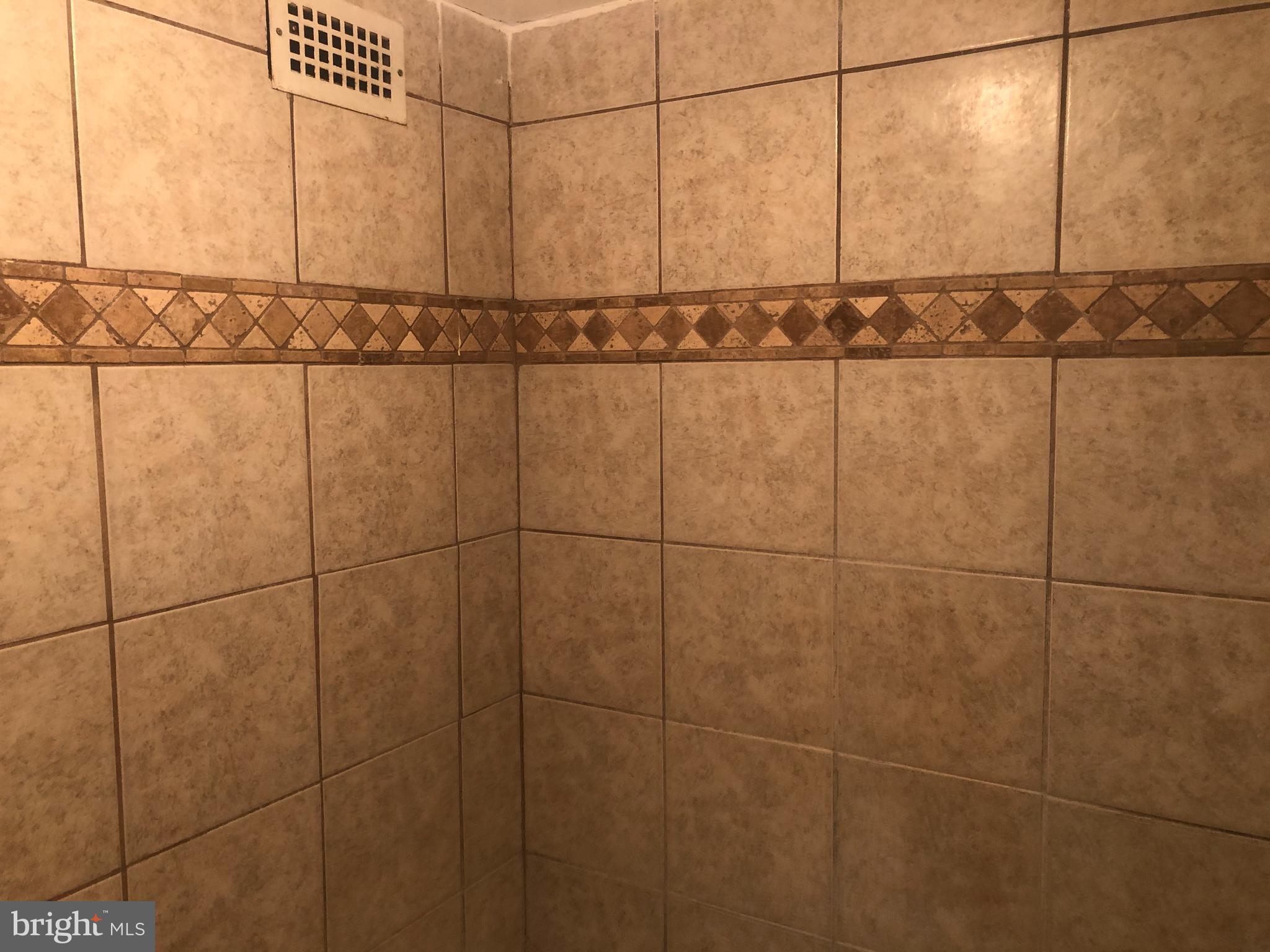 1836 Metzerott Road, Unit 1906 Adelphi, MD 20783 - Photo 49 of 68 Shower 4