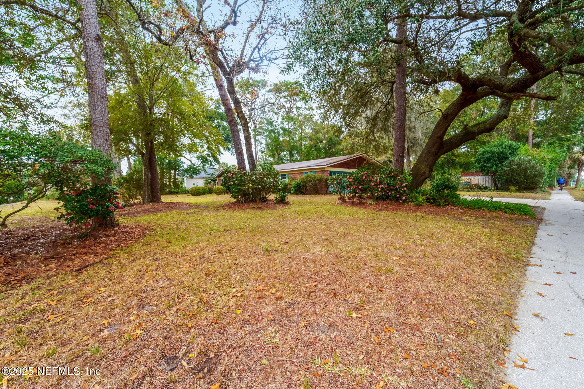8191 Alderman Road Jacksonville, FL 32211 - Photo 6 of 46 2-web-or-mls-8191-alderman-rd