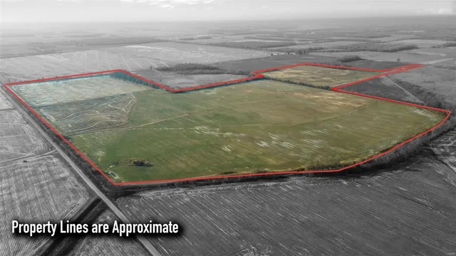 $1,176,000 | 0 County Road 355, Harviell, MO 63945