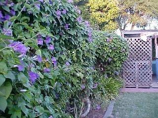 512 Macklyn Avenue Santa Rosa, CA 95405 - Photo 4 of 6