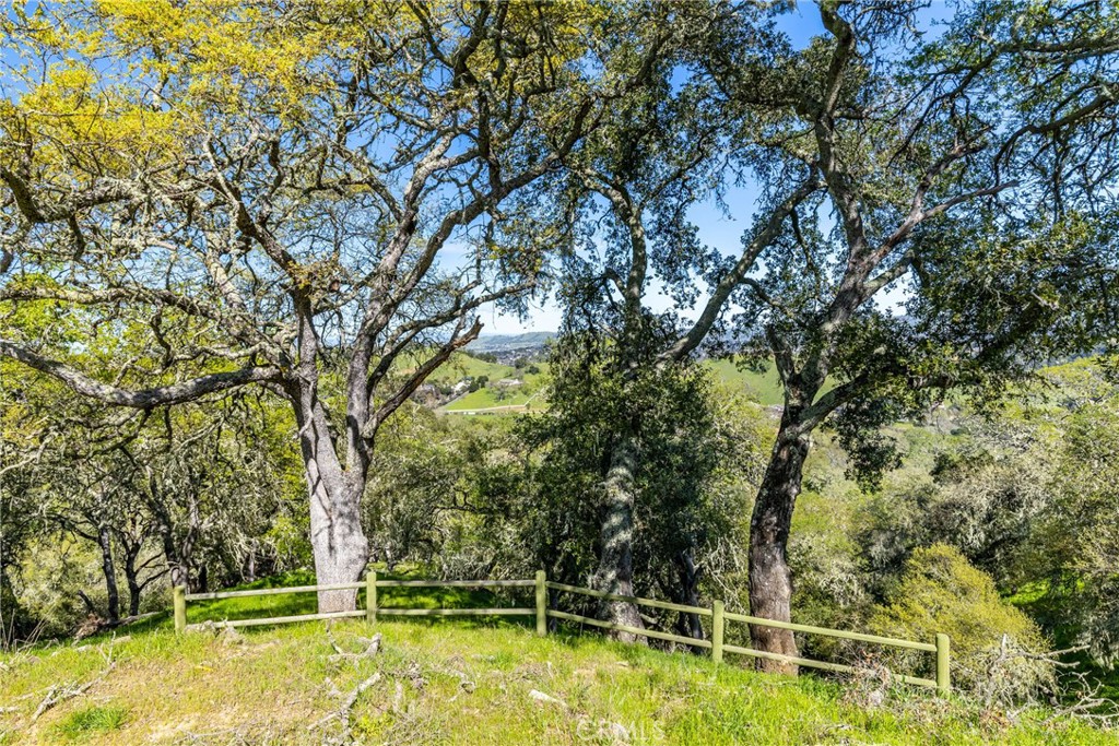 10870 Santa Ana Road Atascadero, CA 93422 - Photo 32 of 67 Open the French doors and this is the view you are rewarded with.