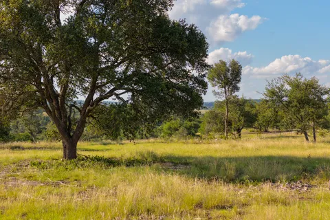 $850,000 | Lot 11 Maddalena Lane, Dripping Springs, TX 78620
