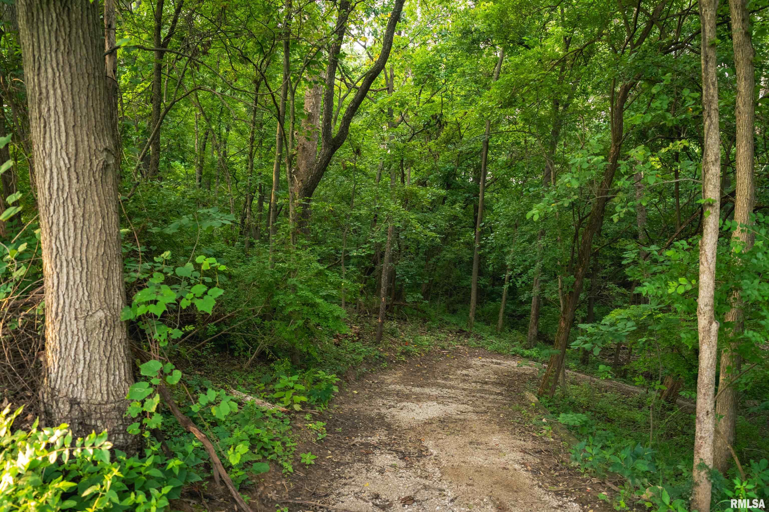 1885 Central Point Road Springfield, IL 62707 - Photo 92 of 100 Gallery Image 92