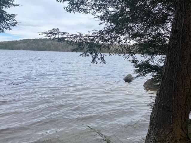 316 Patten Pond Road Surry, ME 04684 - Photo 47 of 47 Shore @ ROW