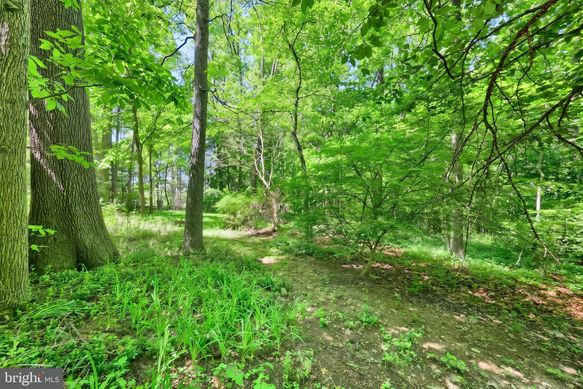 4275 Evergreen Road Felton, PA 17322 - Photo 10 of 47 Gallery Image 10