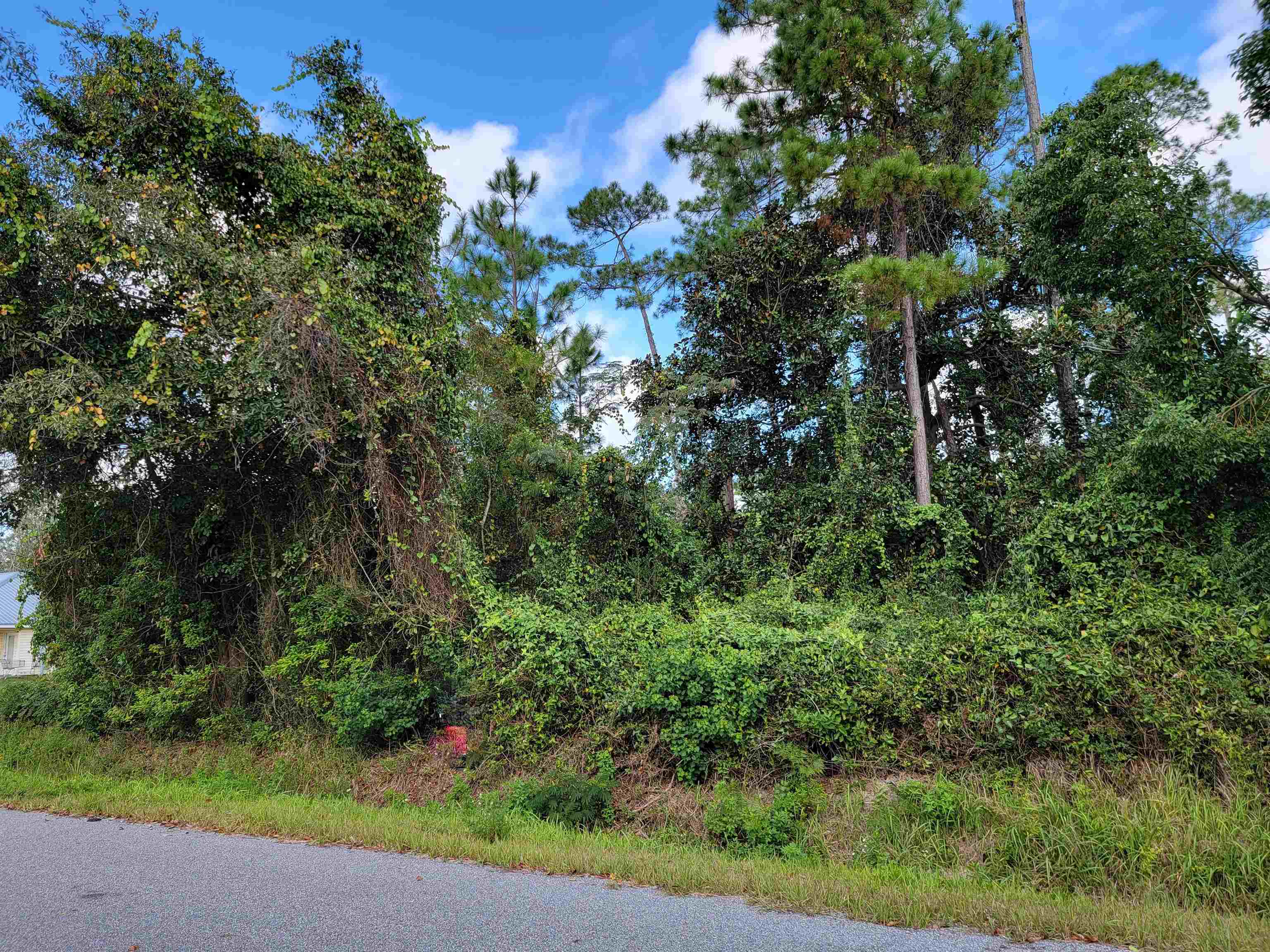 0 Dotson Street Gulf Shores, AL 36542 - Photo 1 of 1