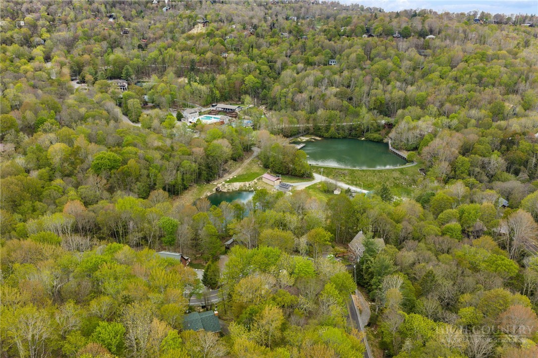 259 Greenbriar Road Beech Mountain, NC 28604 - Photo 39 of 41