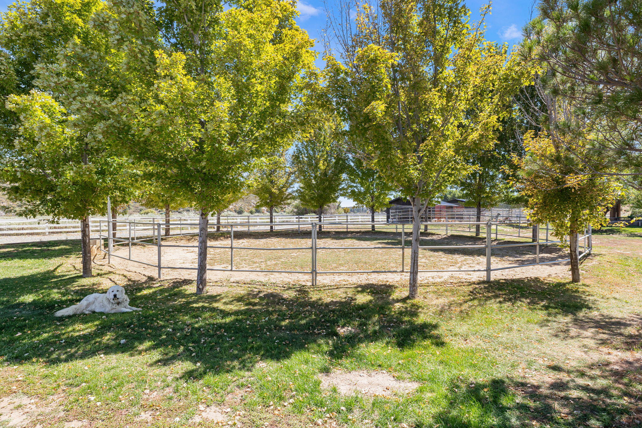 61380 Devils Ladder Road Mountain Center, CA 92561 - Photo 35 of 44 a view of a park