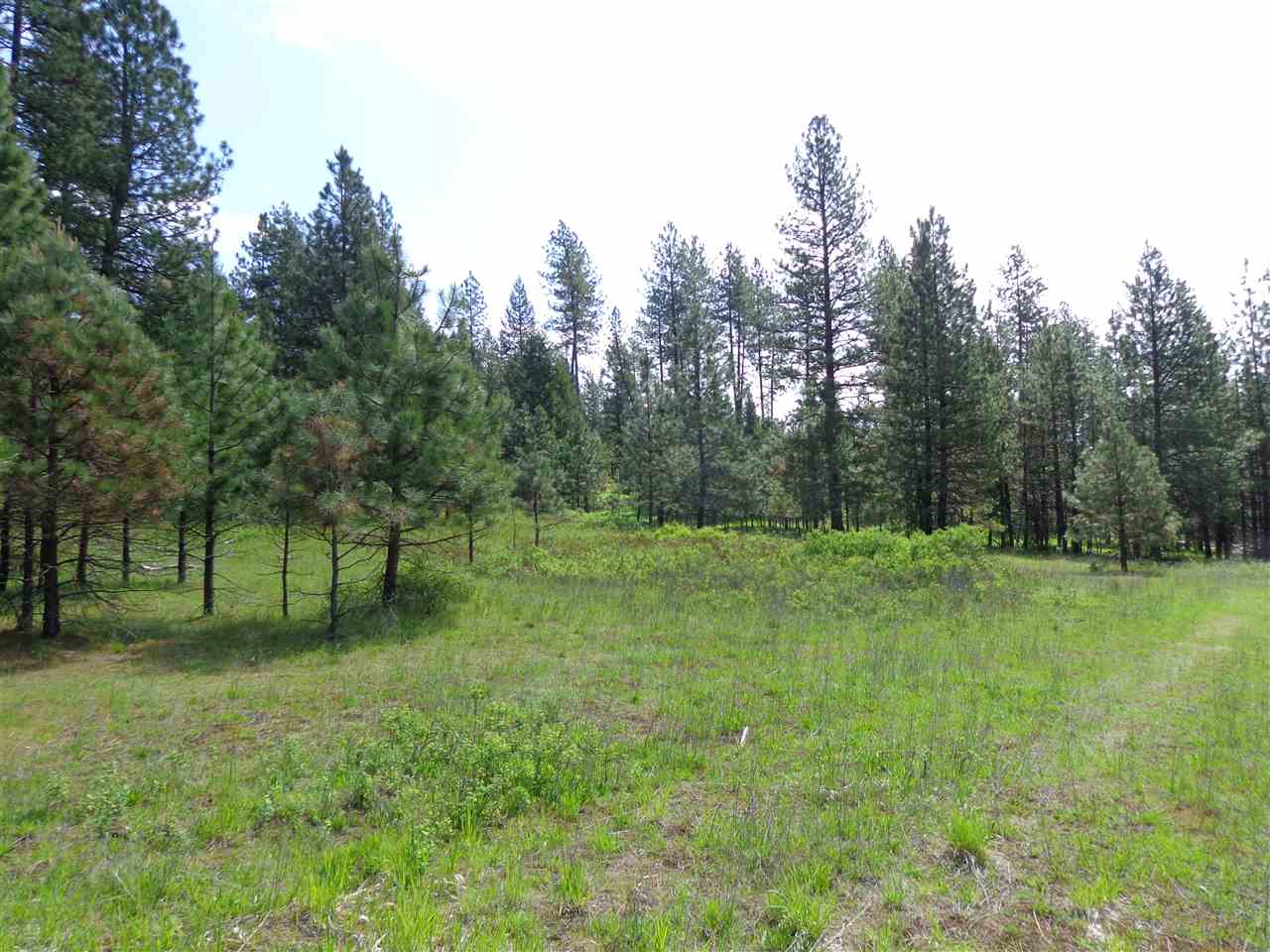 2408 East Sandy Beach Road Elk, WA 99009 - Photo 1 of 13