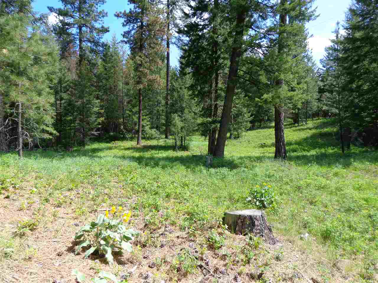 2408 East Sandy Beach Road Elk, WA 99009 - Photo 2 of 13