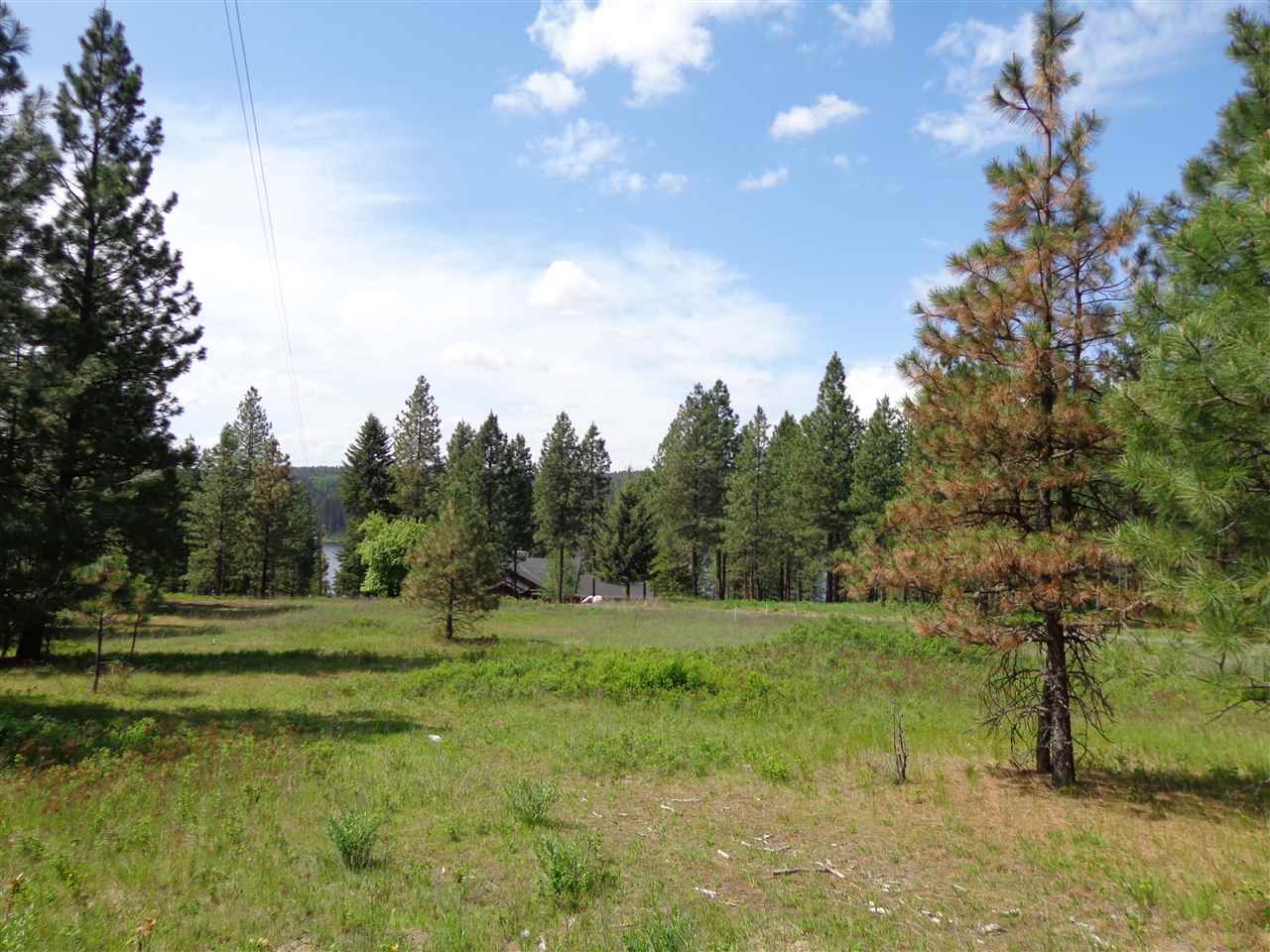 2408 East Sandy Beach Road Elk, WA 99009 - Photo 3 of 13