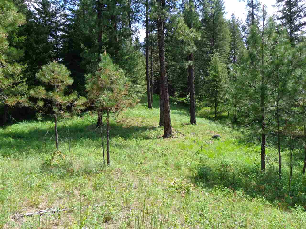 2408 East Sandy Beach Road Elk, WA 99009 - Photo 4 of 13