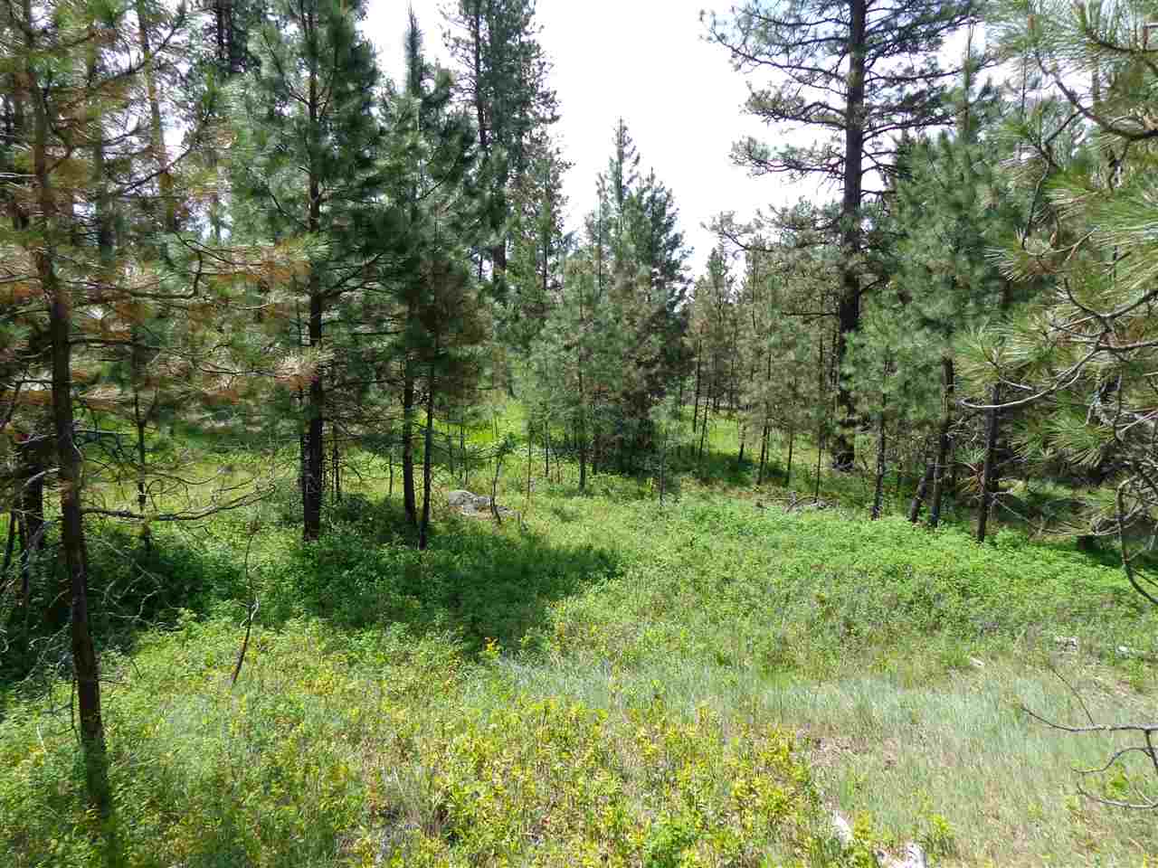 2408 East Sandy Beach Road Elk, WA 99009 - Photo 5 of 13
