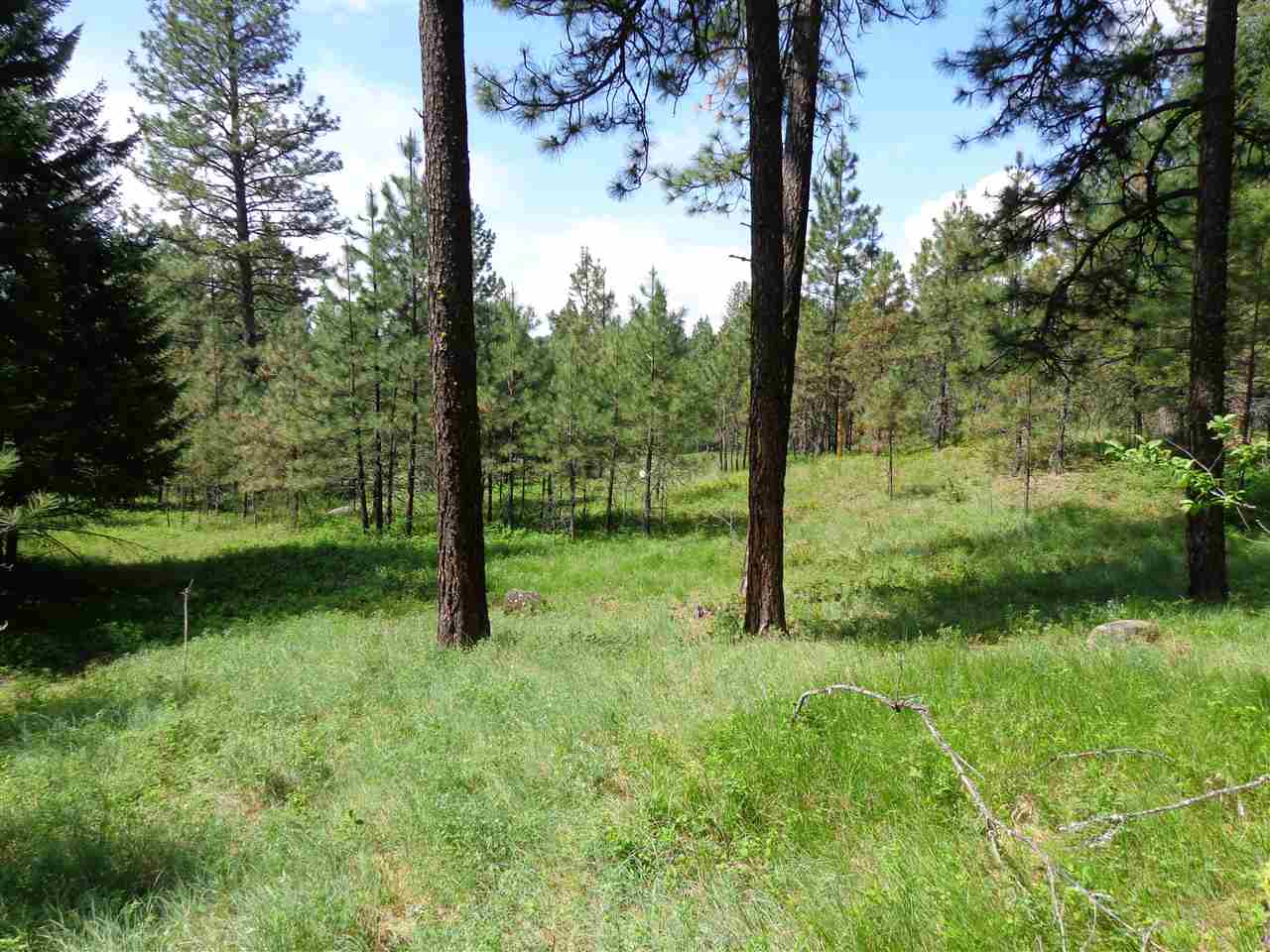 2408 East Sandy Beach Road Elk, WA 99009 - Photo 6 of 13