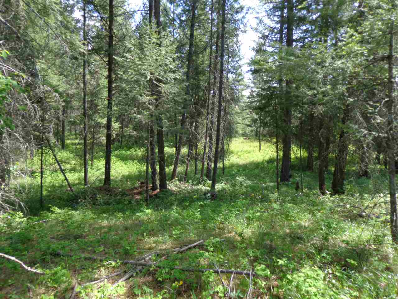 2408 East Sandy Beach Road Elk, WA 99009 - Photo 7 of 13