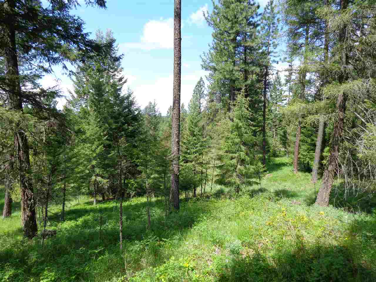 2408 East Sandy Beach Road Elk, WA 99009 - Photo 8 of 13
