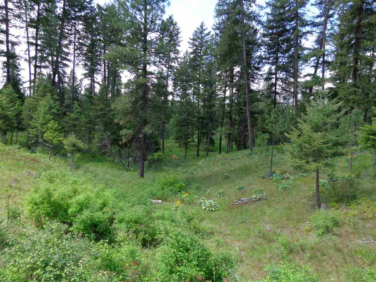 2408 East Sandy Beach Road Elk, WA 99009 - Photo 9 of 13