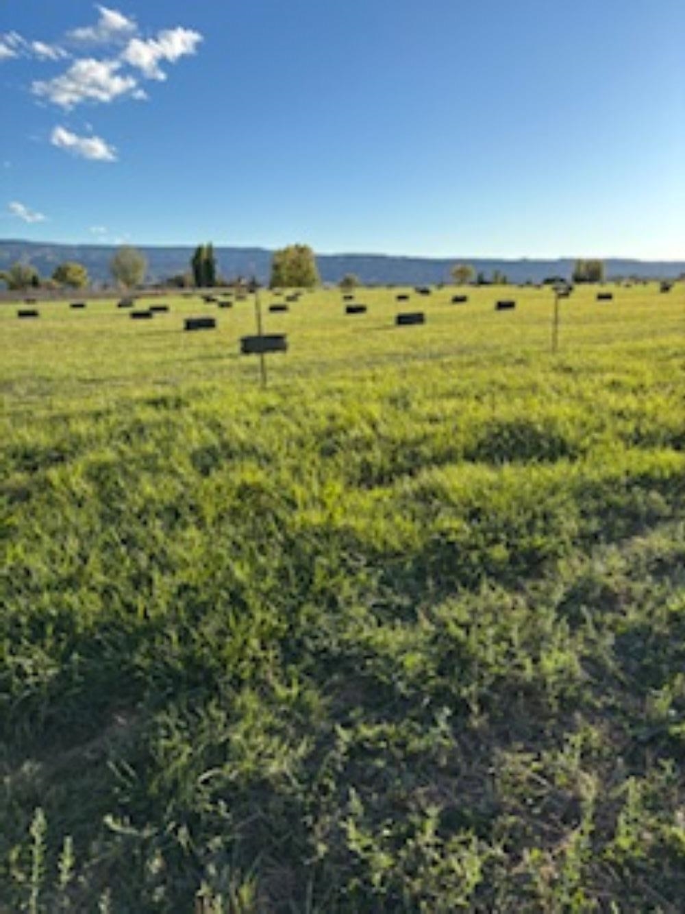 1516 M M 3/8 Road Loma, CO 81524 - Photo 40 of 42