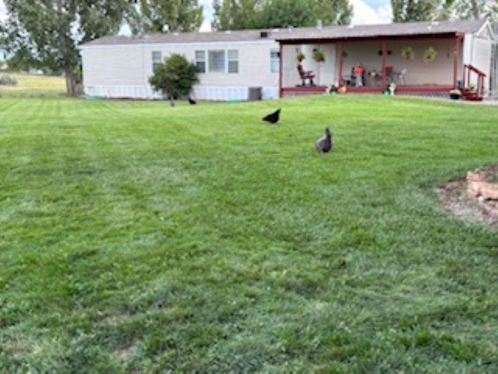 1516 M M 3/8 Road Loma, CO 81524 - Photo 41 of 42