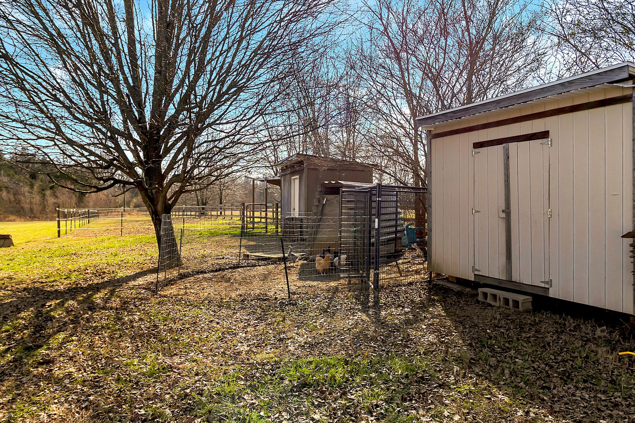 482 Fruit Valley Road Rockvale, TN 37153 - Photo 31 of 37 a view of a house with backyard and sitting area