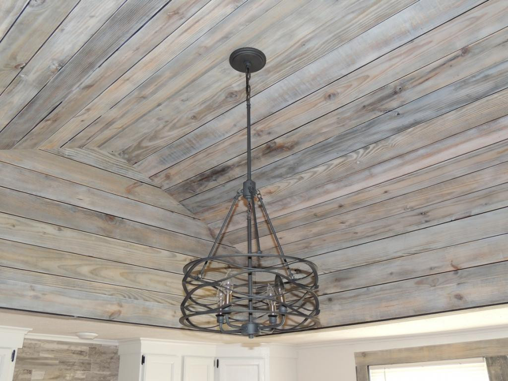 124 Meadow View Road Rogersville, TN 37857 - Photo 7 of 27 Kitchen Tray Ceiling