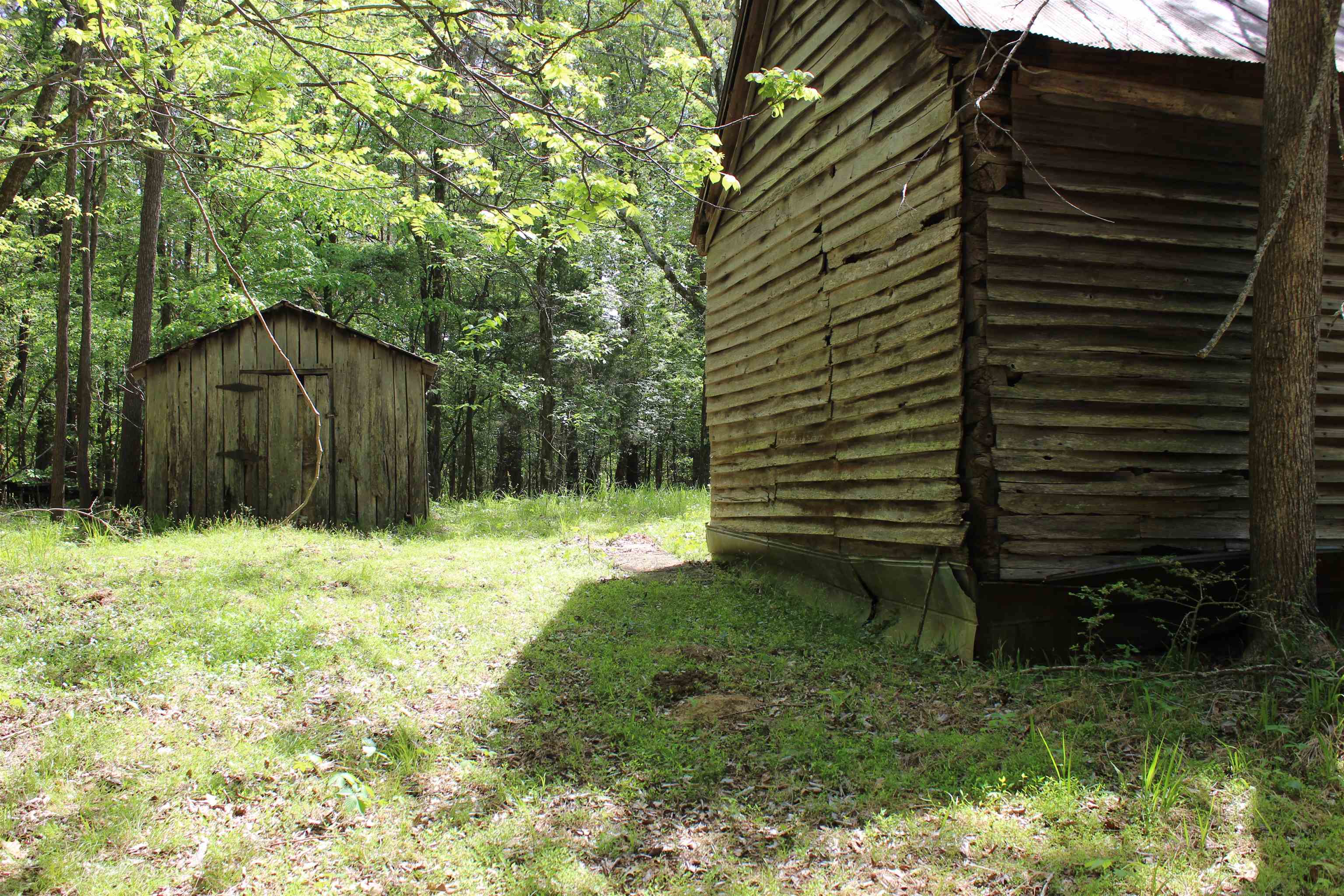 0 Maroney Road Medon, TN 38356 - Photo 22 of 37 Gallery Image 22