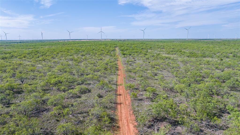 2607 Highway 380 Haskell, TX 79521 - Photo 14 of 32